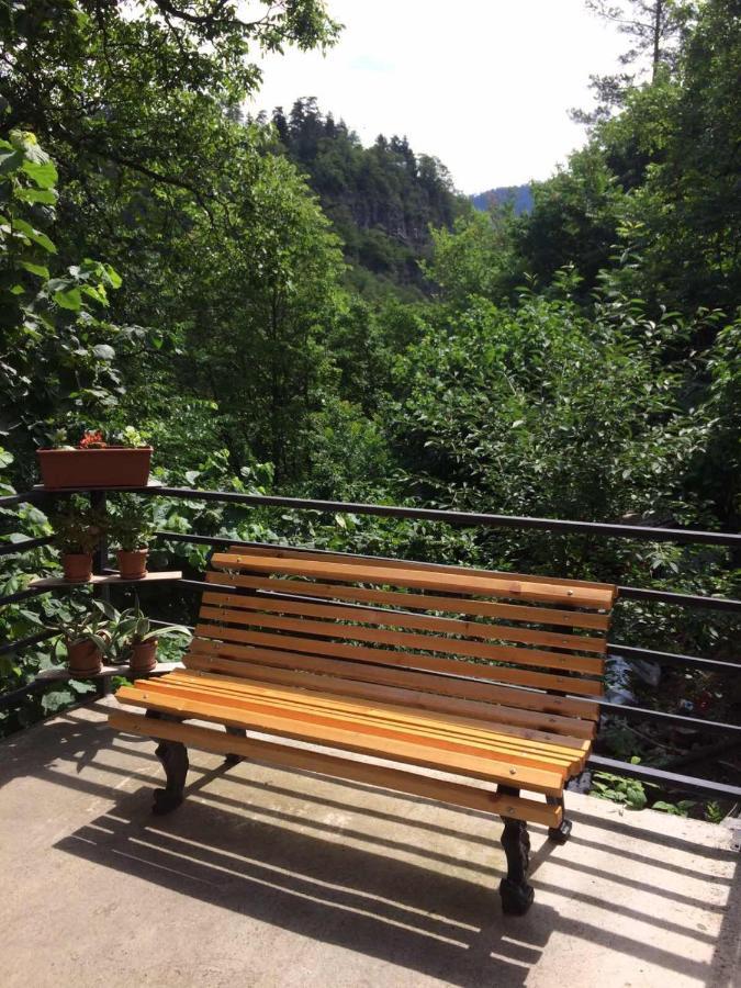 Borjomi Veranda Apartment Exterior photo