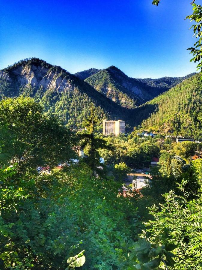 Borjomi Veranda Apartment Exterior photo